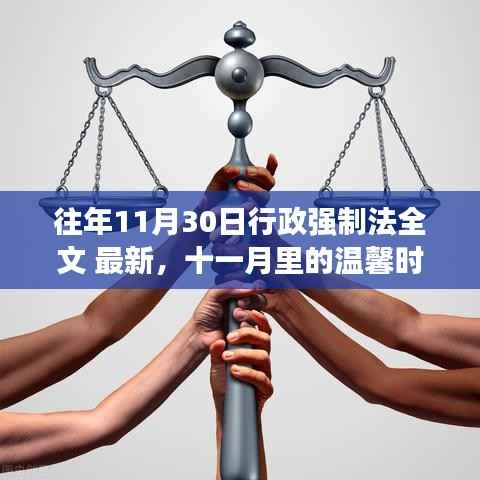 行政强制法,十一月温馨时光与家的故事回顾往年全文最新解读