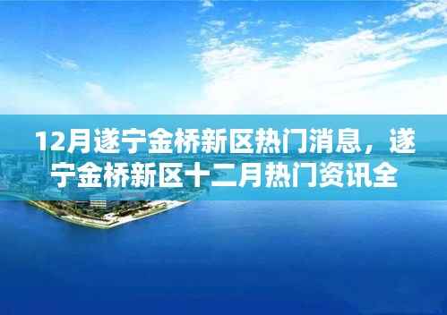 遂宁金桥新区十二月热门资讯解析，洞悉动态，掌握最新消息的一站式指南