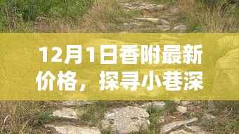 探寻小巷深处的宝藏，揭秘12月1日香附最新价格