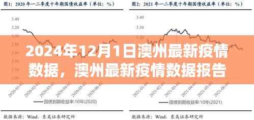 2024年12月1日澳州疫情数据报告,聚焦最新动态
