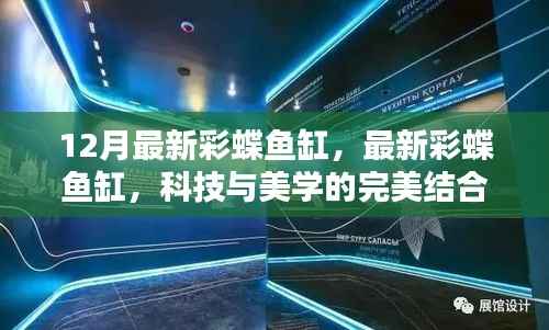 科技与美学完美融合，最新彩蝶鱼缸亮相十二月市场