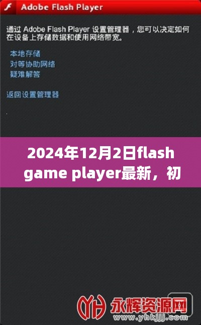 初学者与进阶用户必备，2024年Flash Game Player最新安装与使用详解指南