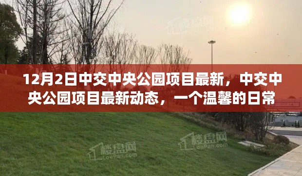 中交中央公园项目最新动态,温馨日常故事开启新篇章