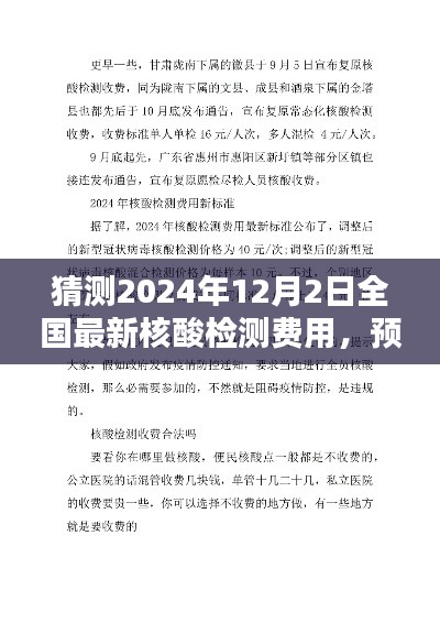 2024年12月2日全国最新核酸检测费用分析与预测
