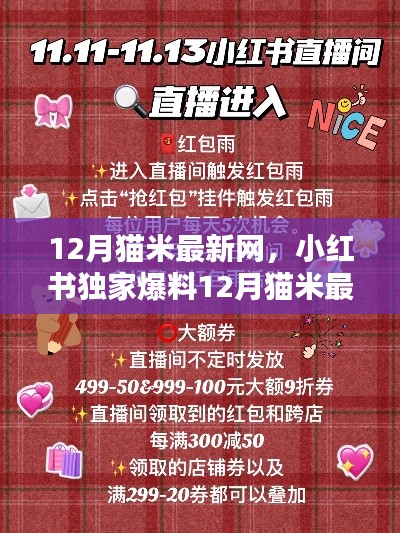 12月猫米最新网，小红书独家爆料，新鲜资讯与惊喜福利一网打尽！