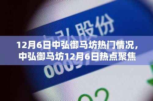 中弘御马坊12月6日热点探秘，揭秘当日热门情况