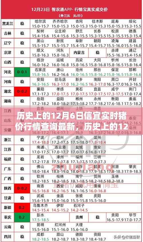 历史上的12月6日信宜实时猪价行情揭秘,最新动态与实时更新查询