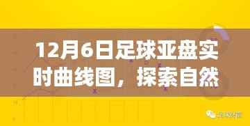 足球亚盘实时曲线图，探寻自然美景之旅与激情背后的宁静