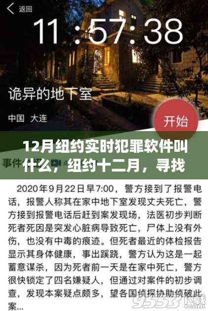 纽约十二月，犯罪软件探索之旅与自然的邂逅心灵平静之旅