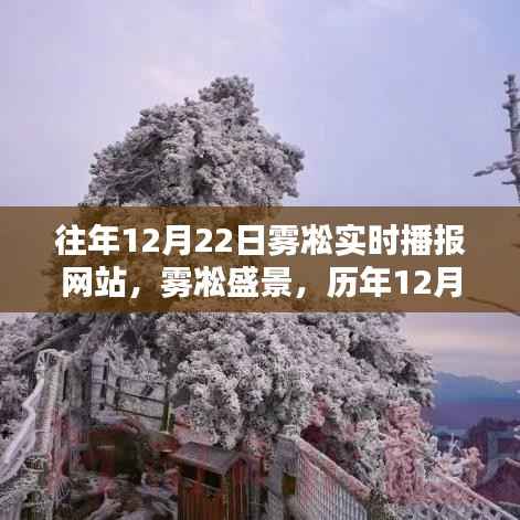 历年12月22日雾凇盛景实时播报与奇观回顾，自然之美尽在眼前