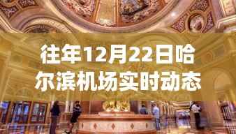 揭秘哈尔滨机场幕后小巷的神秘小店，往年12月22日实时动态奇趣之旅