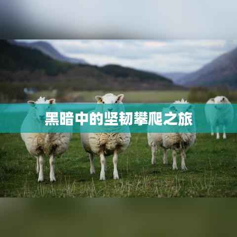 黑暗中的坚韧攀爬之旅