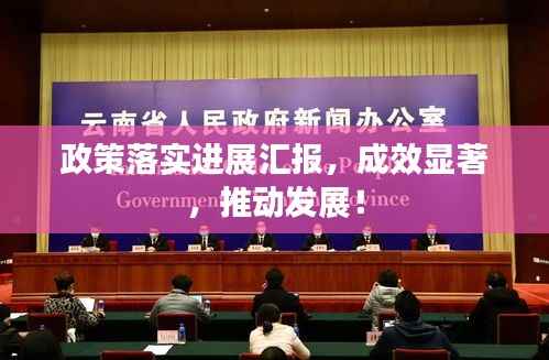 政策落实进展汇报，成效显著，推动发展！