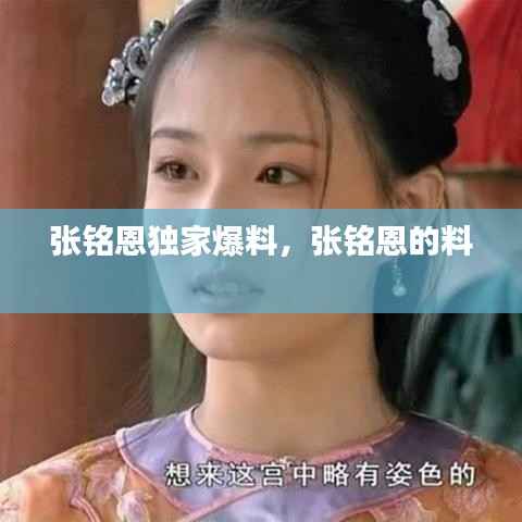 张铭恩独家爆料，张铭恩的料 