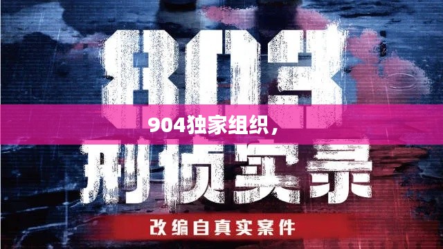 904独家组织,