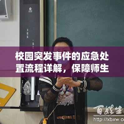 校园突发事件的应急处置流程详解，保障师生安全的关键步骤！