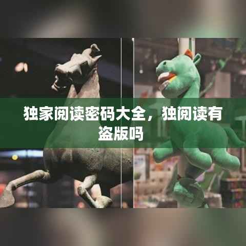 独家阅读密码大全,独阅读有盗版吗