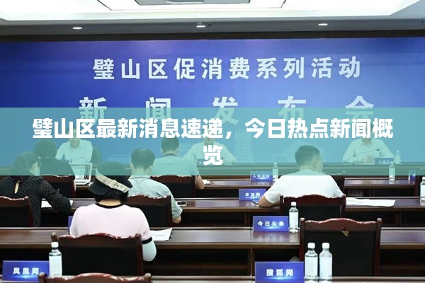 璧山区最新消息速递，今日热点新闻概览