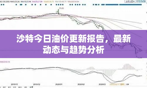 沙特今日油价更新报告,最新动态与趋势分析