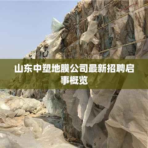 山东中塑地膜公司最新招聘启事概览