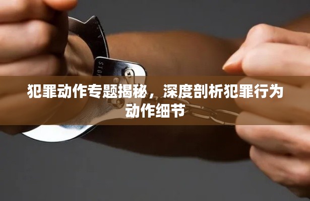 犯罪动作专题揭秘，深度剖析犯罪行为动作细节