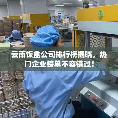 qinshouyimei 第11页