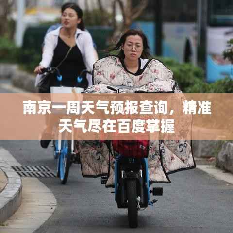 admin 第2页