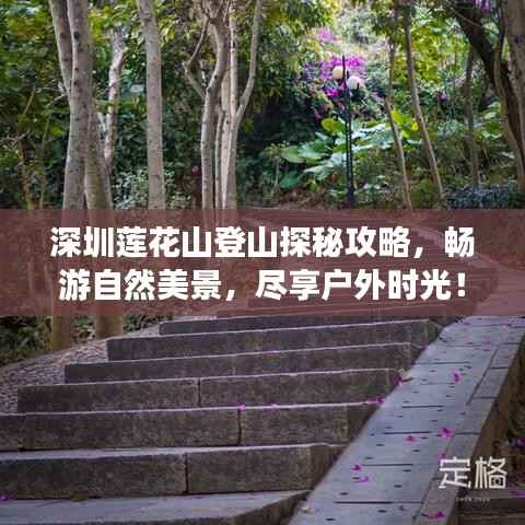 深圳莲花山登山探秘攻略,畅游自然美景,尽享户外时光!