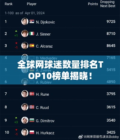 全球网球迷数量排名TOP10榜单揭晓！