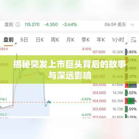揭秘突发上市巨头背后的故事与深远影响