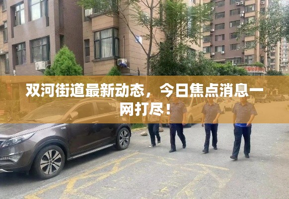 双河街道最新动态,今日焦点消息一网打尽!