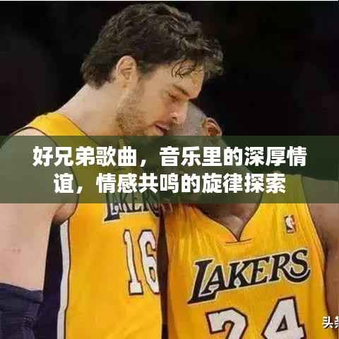 好兄弟歌曲，音乐里的深厚情谊，情感共鸣的旋律探索