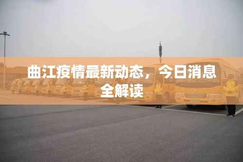 曲江疫情最新动态,今日消息全解读
