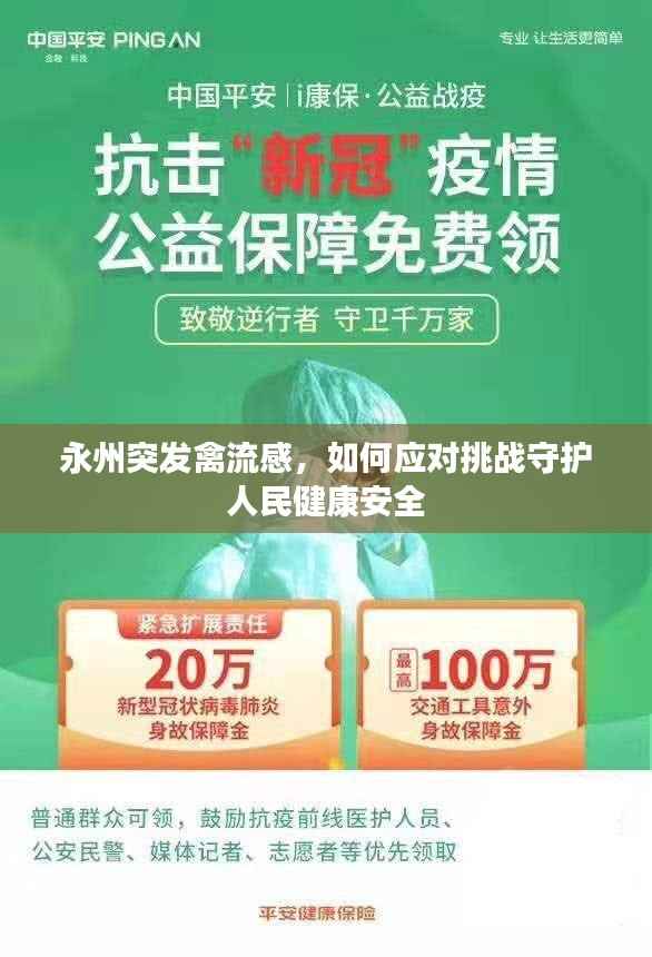 永州突发禽流感,如何应对挑战守护人民健康安全