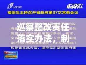 巡察整改责任落实办法，制度深化，监督执行的新路径