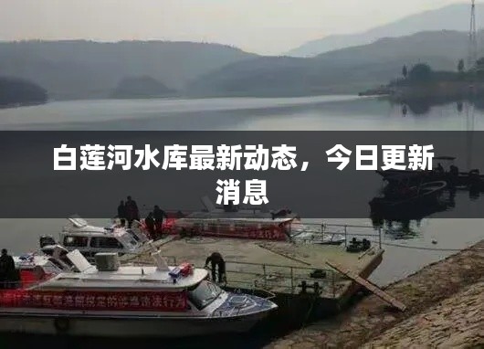 白莲河水库最新动态，今日更新消息