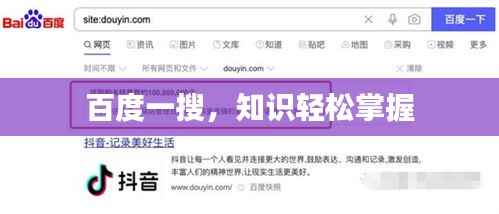 百度一搜,知识轻松掌握