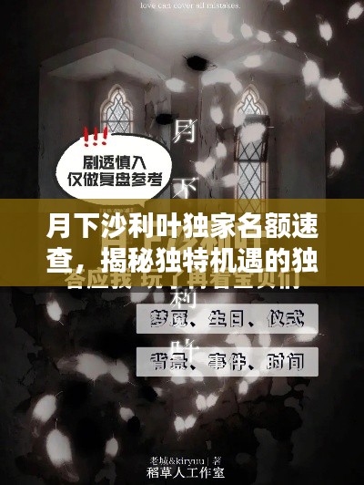 月下沙利叶独家名额速查,揭秘独特机遇的独家指南