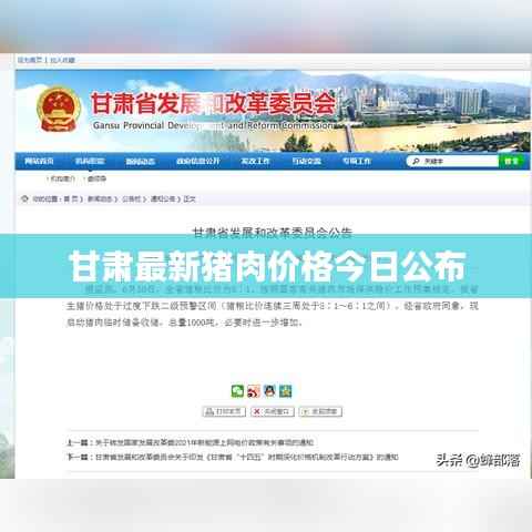 甘肃最新猪肉价格今日公布