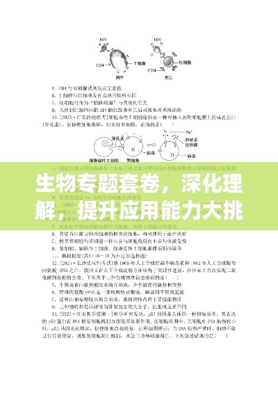 生物专题套卷，深化理解，提升应用能力大挑战