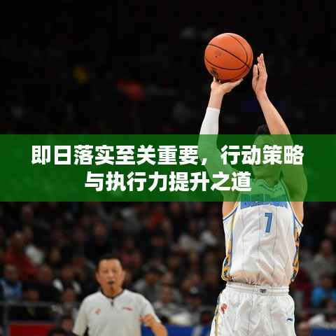 即日落实至关重要,行动策略与执行力提升之道