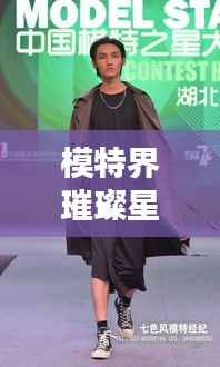 模特界璀璨星辉，揭秘当前最受欢迎的十大模特排名！