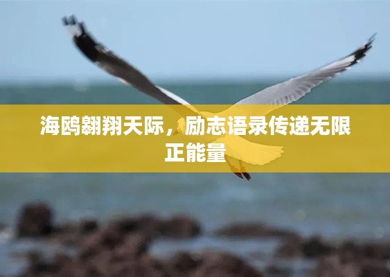 海鸥翱翔天际，励志语录传递无限正能量