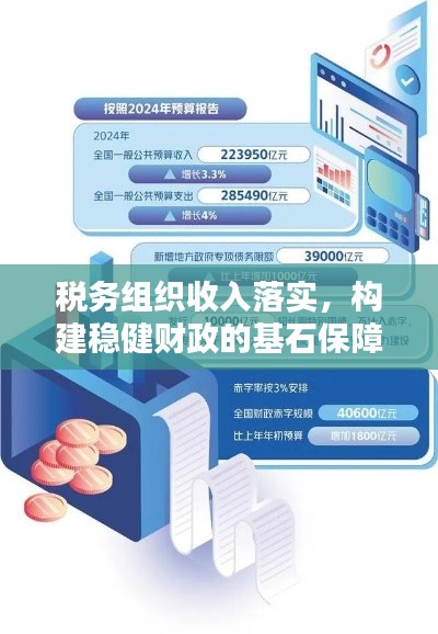 税务组织收入落实,构建稳健财政的基石保障