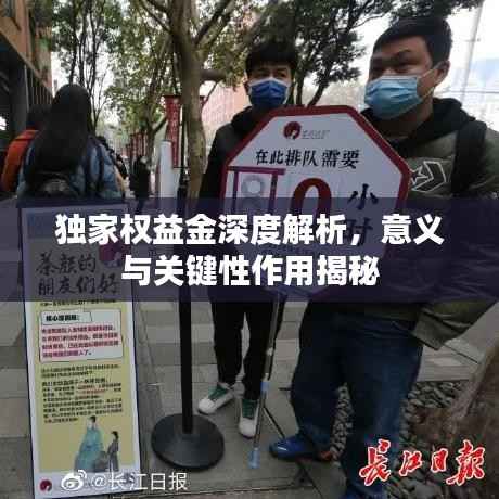 独家权益金深度解析,意义与关键性作用揭秘