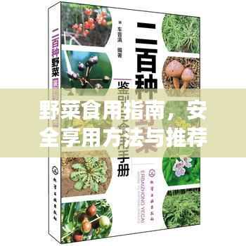 野菜食用指南，安全享用方法与推荐美食清单