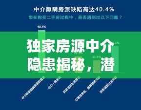 独家房源中介隐患揭秘，潜在风险与问题全解析
