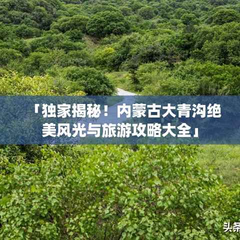 「独家揭秘！内蒙古大青沟绝美风光与旅游攻略大全」