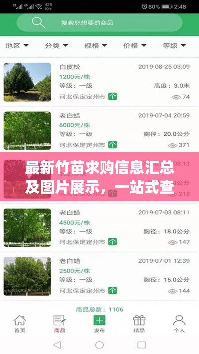 最新竹苗求购信息汇总及图片展示,一站式查找竹苗资源