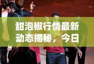 甜泡椒行情最新动态揭秘，今日市场走势及价格分析